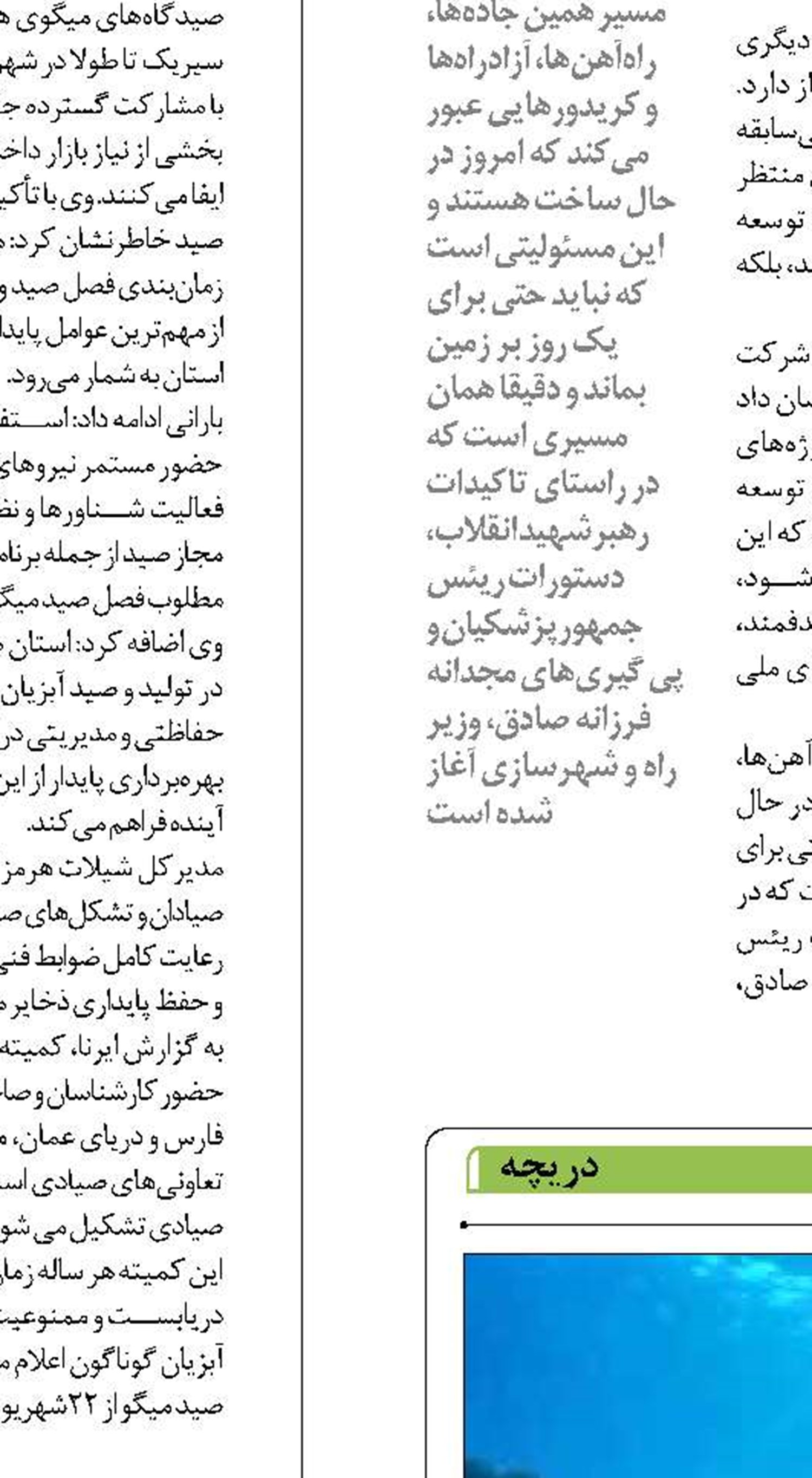 ایجاد سایت های حفاظت از لاک پشت های دریایی  در جزایر خلیج فارس