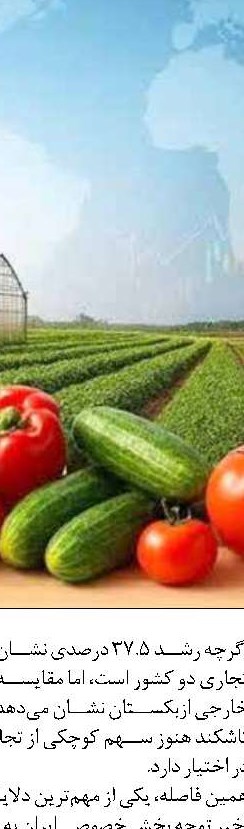   پرداخت ۴۴.۶ همت تسهیلات و ۴.۳ همت تأمین مالی فاکتورینگ به بنگاه‌های آسیب‌دیده از جنگ