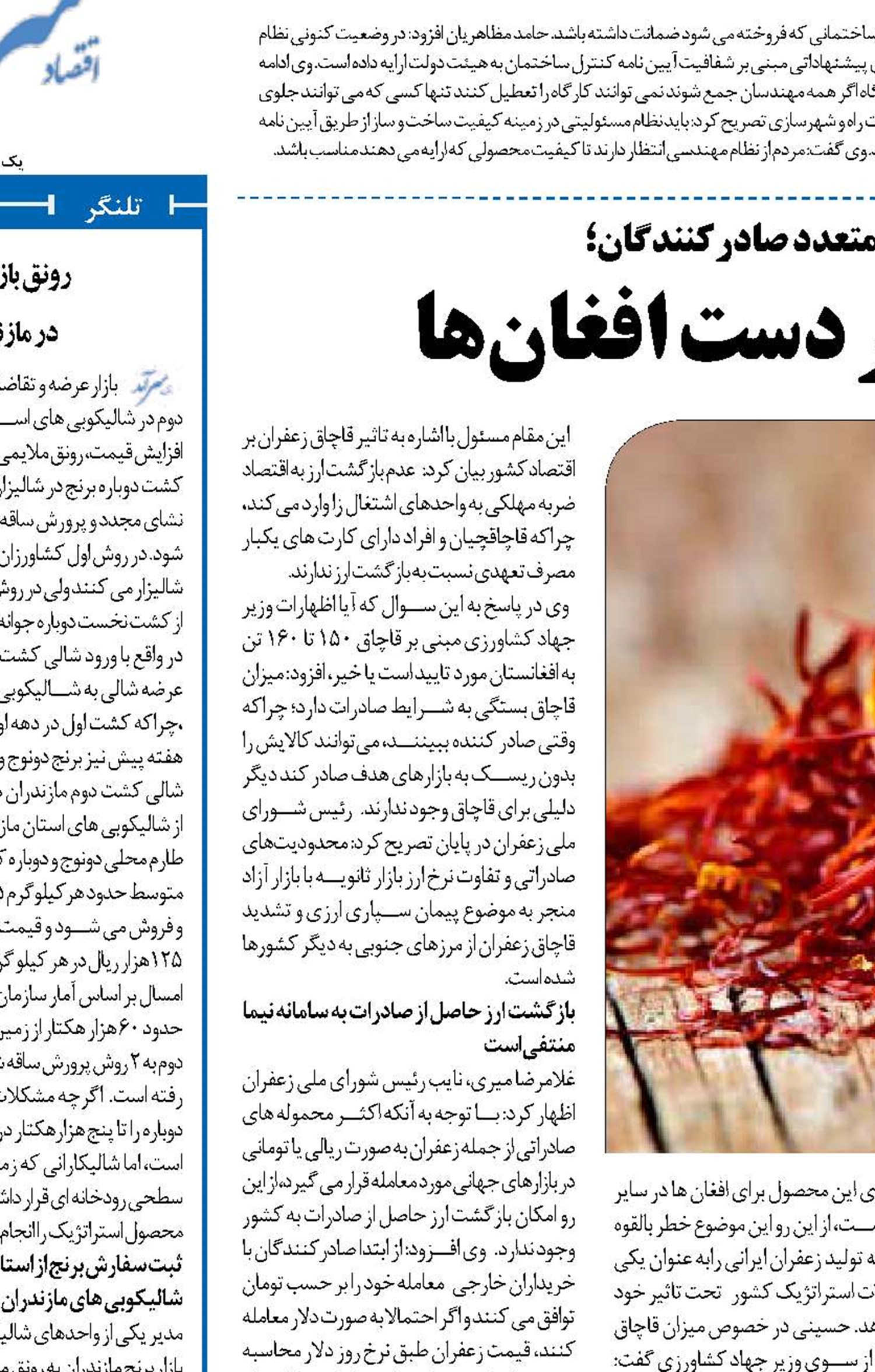  طلای سرخ ایرانی در دست افغان‌ها 