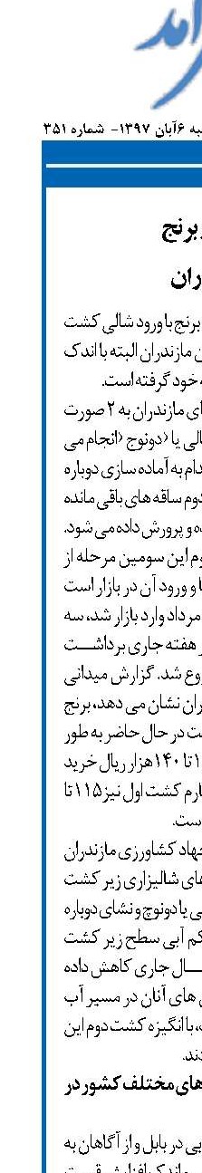 رونق بازار برنج  در مازندران      