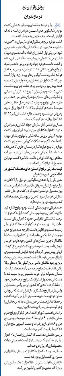 رونق بازار برنج در مازندران