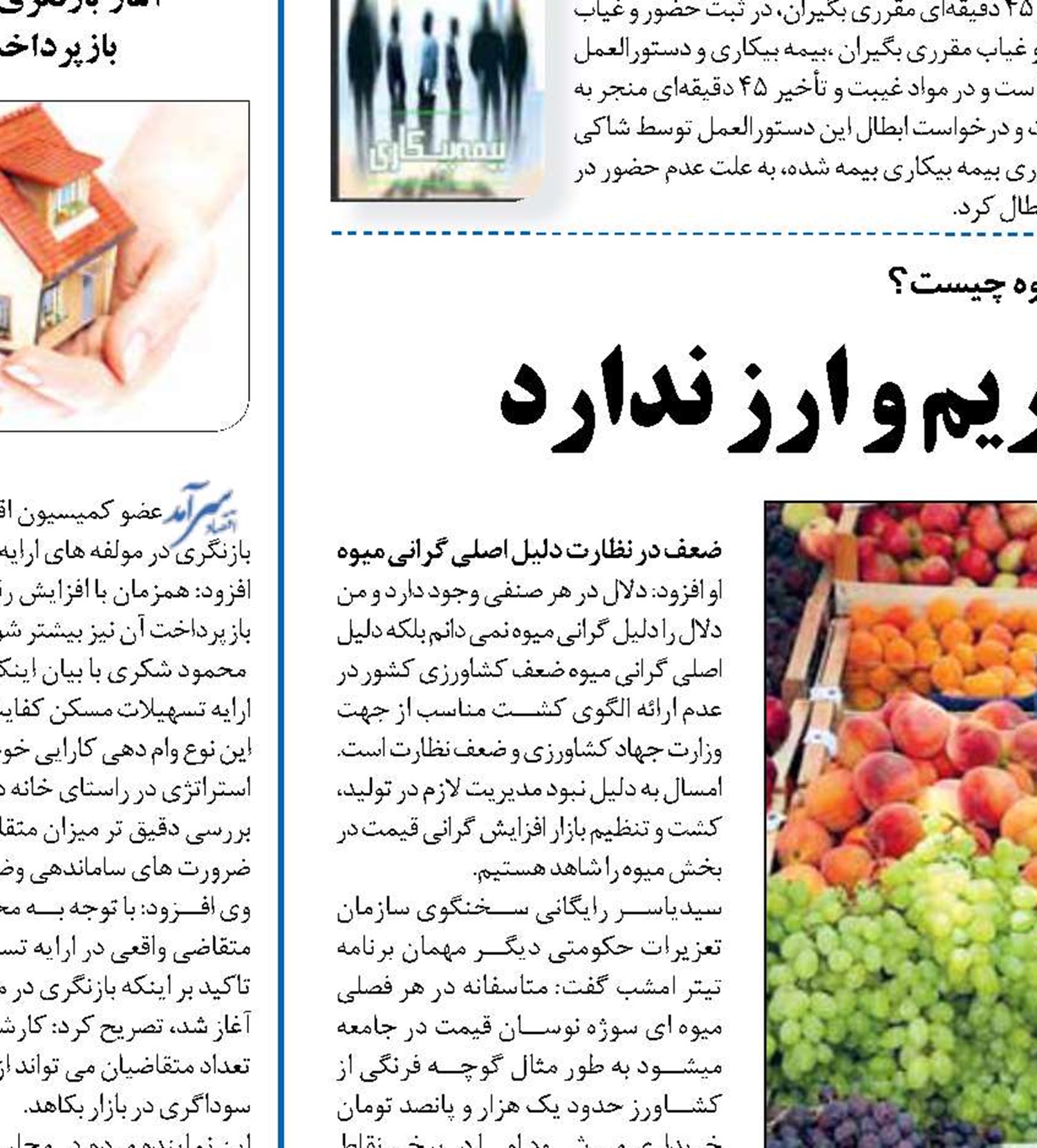 گرانی میوه ربطی به تحریم و ارز ندارد