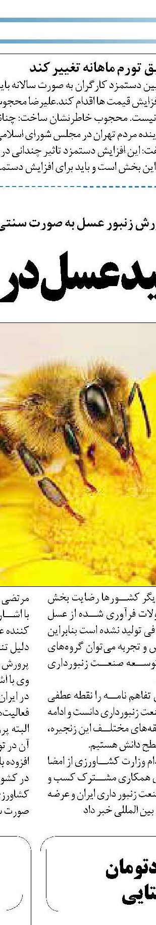مشکلاتی که کارآفرینان را زمین گیر کرده است
