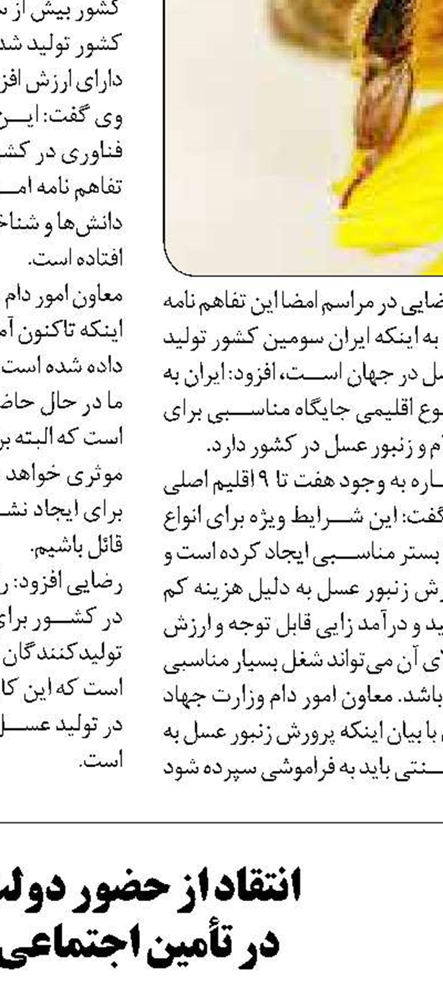 ایجاد هزار و ۱۰۰میلیاردتومان  تسهیلات اشتغال روستایی 