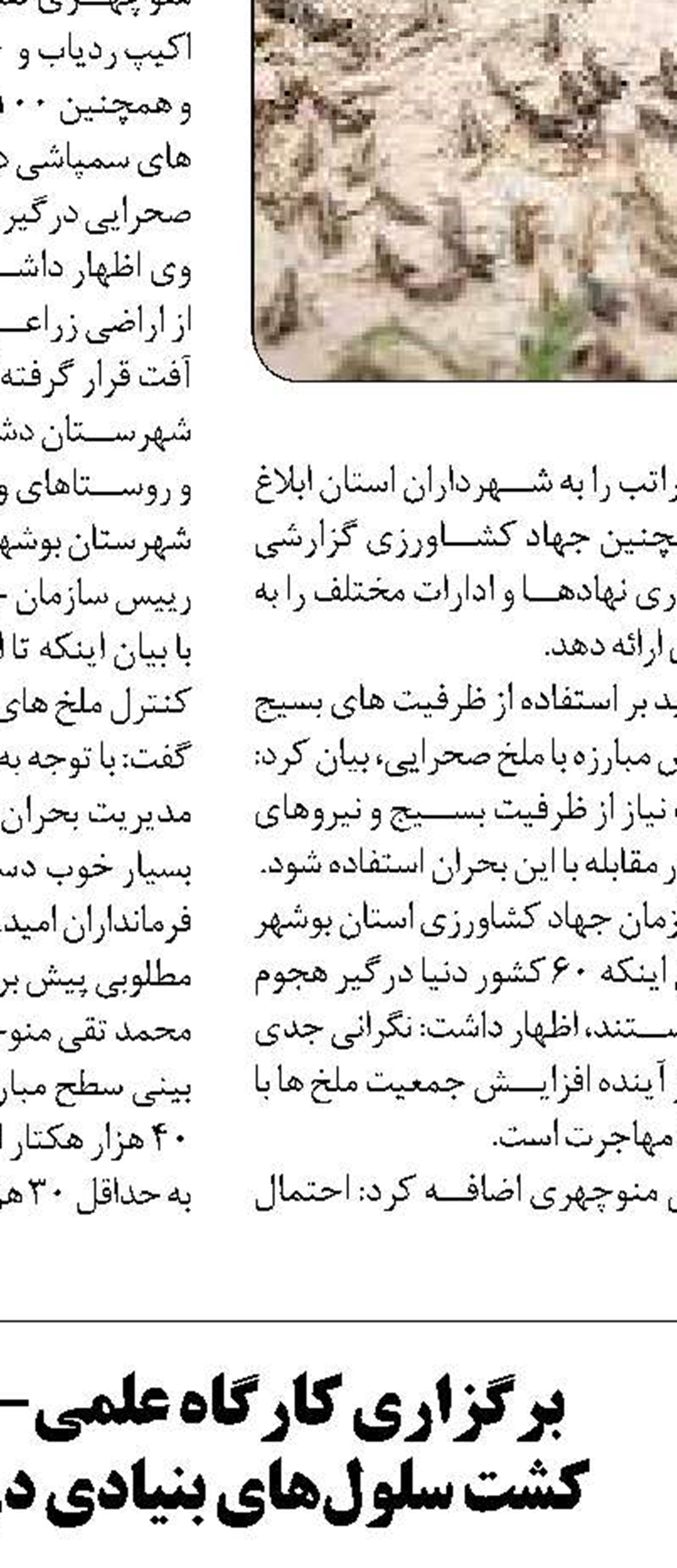 سند ارتقاء وضعیت زنان ایلام  تدوین می‌شود