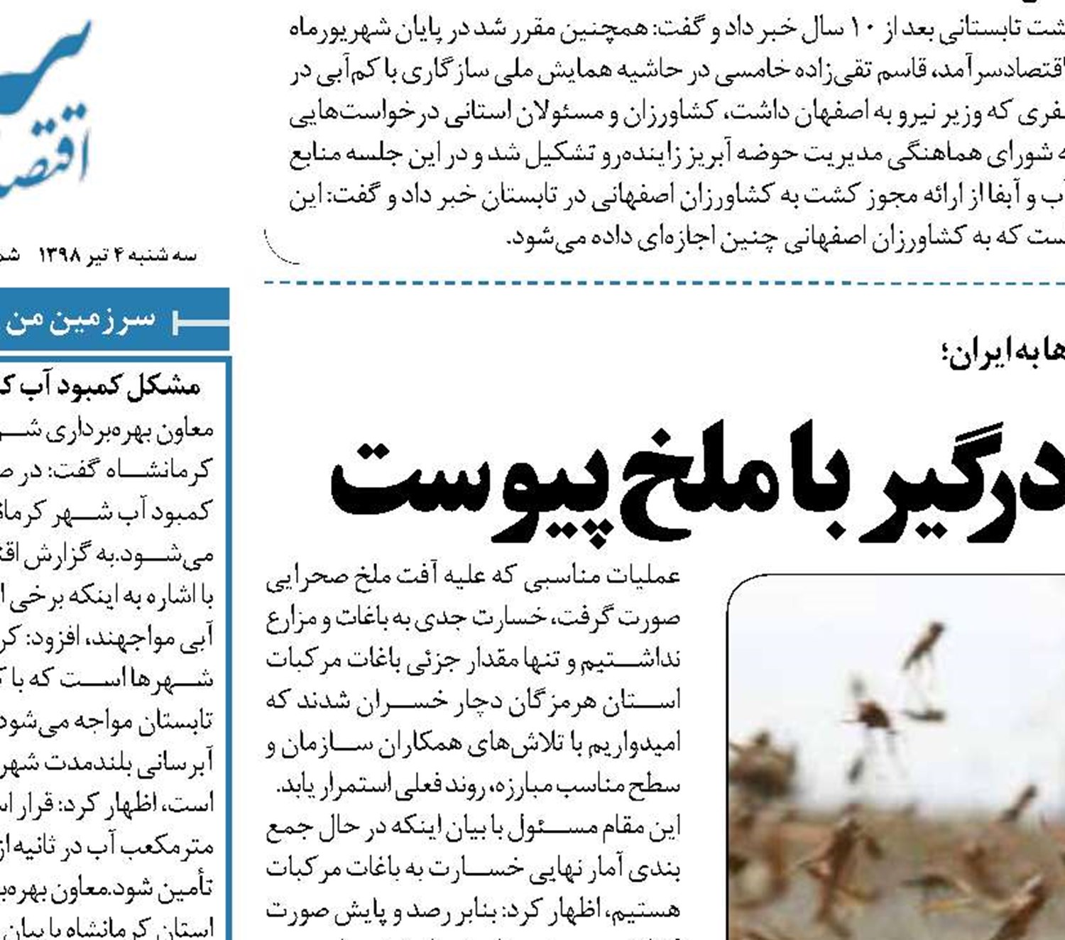 ایلام به جمع استان‌های درگیر با ملخ شد