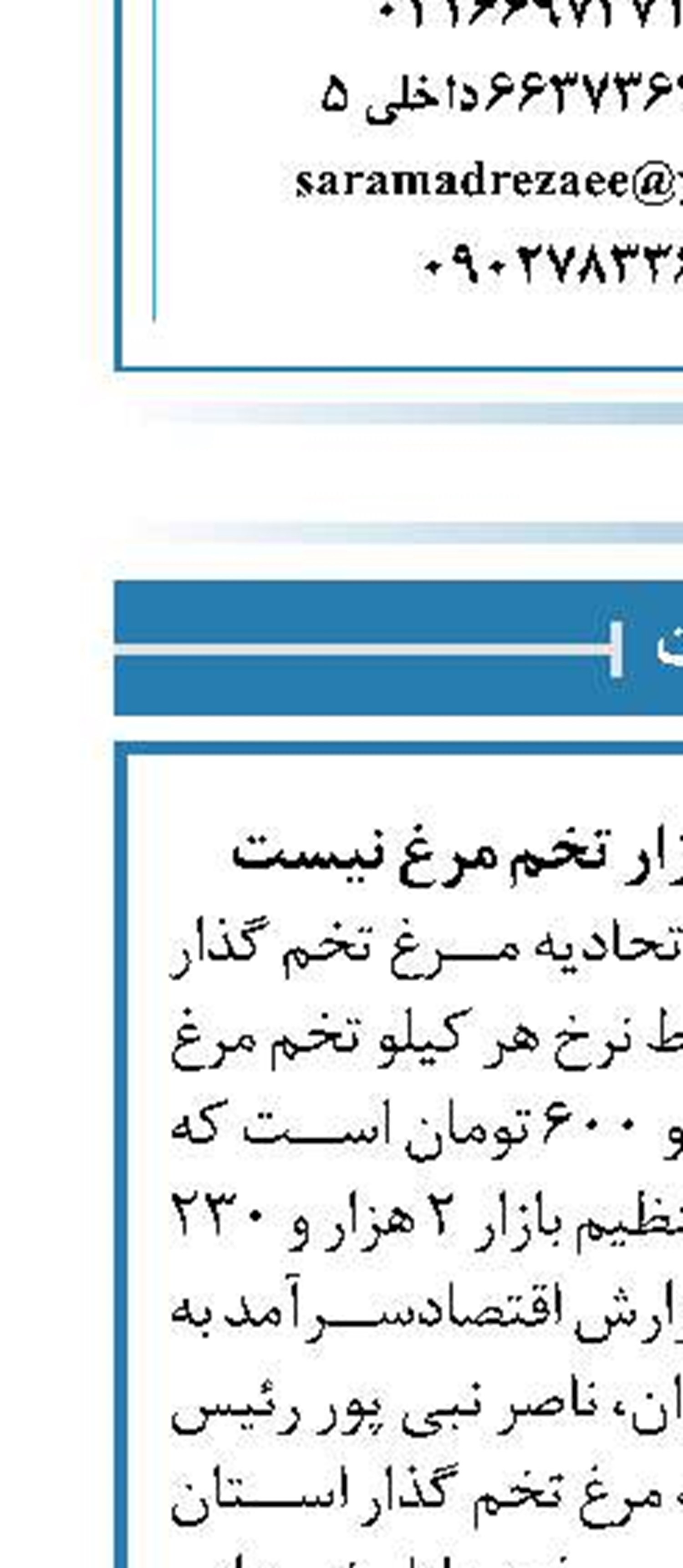 امیدی به بهبود بازار تخم مرغ نیست