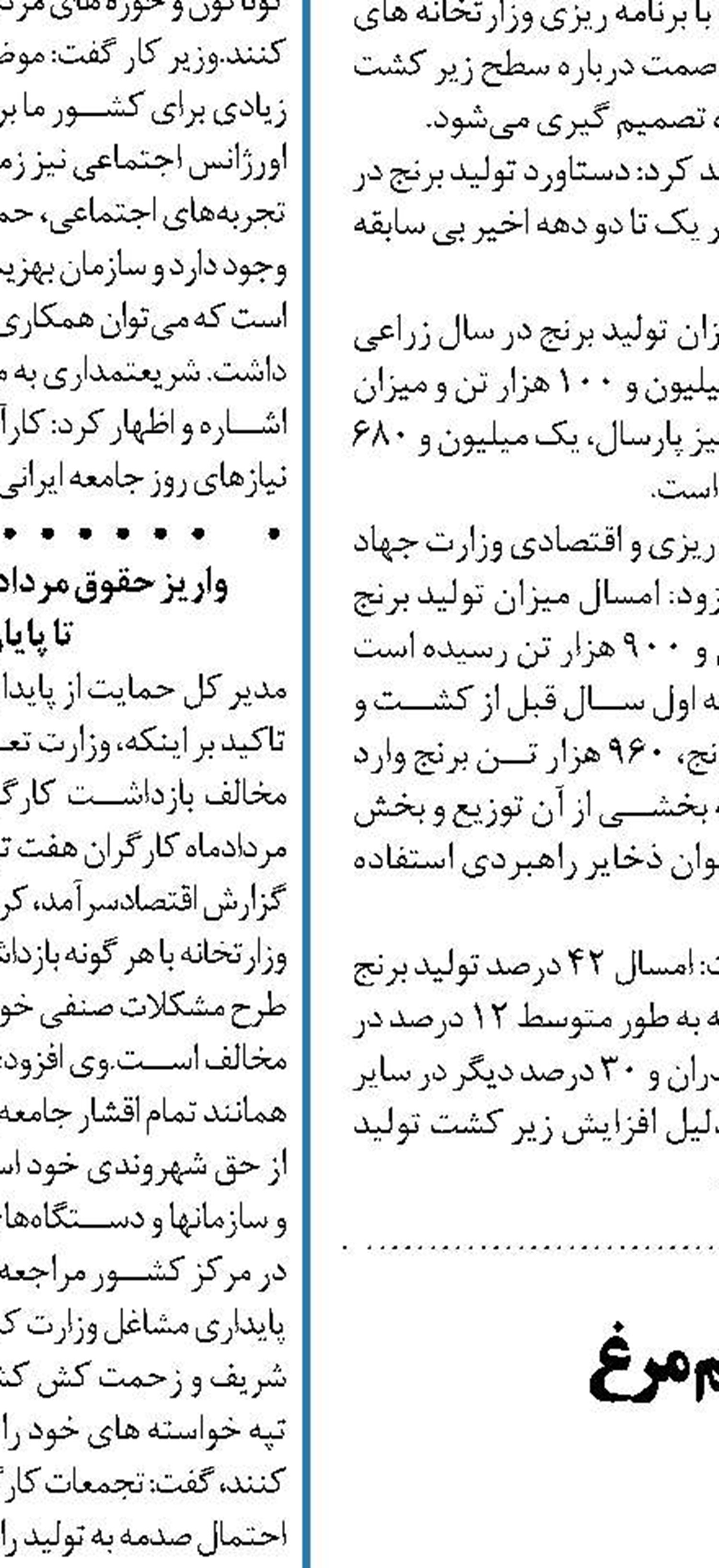 رشد ۱۱ درصدی تولید تخم مرغ در کشور