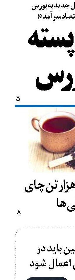 تنقیح قوانین باید در معنای واقعی اعمال شود