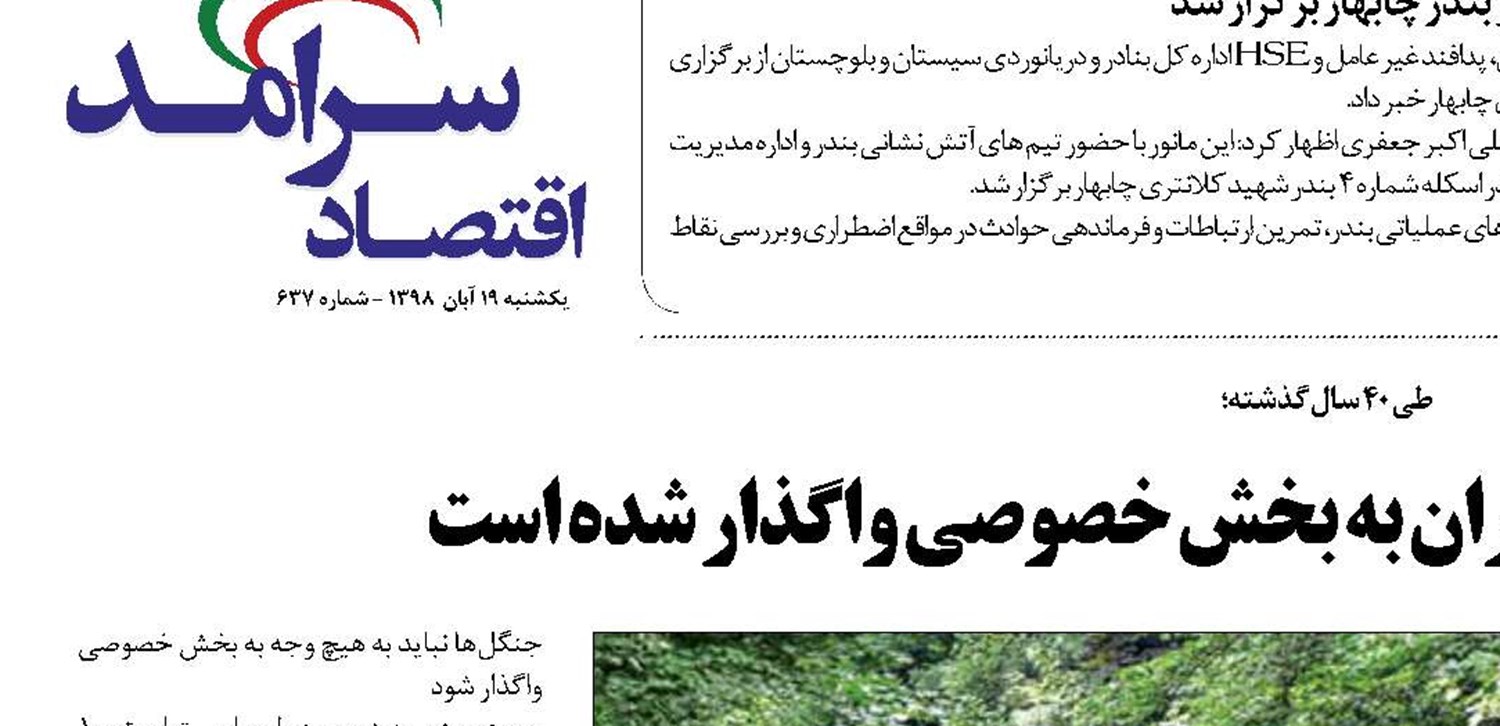  ۷۵ درصد از جنگل‌های ایران به بخش خصوصی واگذار شده است