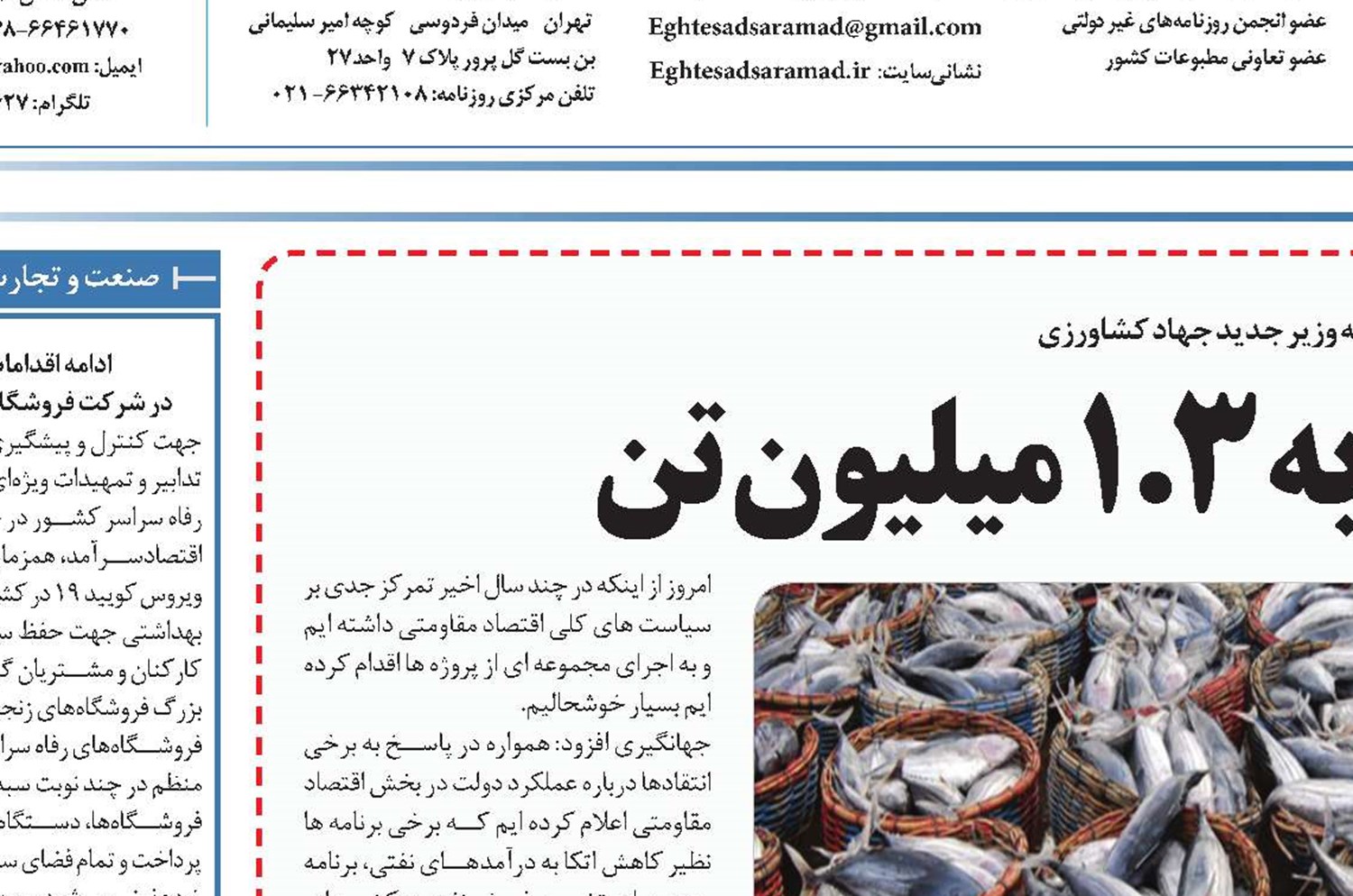جهش تولید شیلات به ۱.۳ میلیون تن