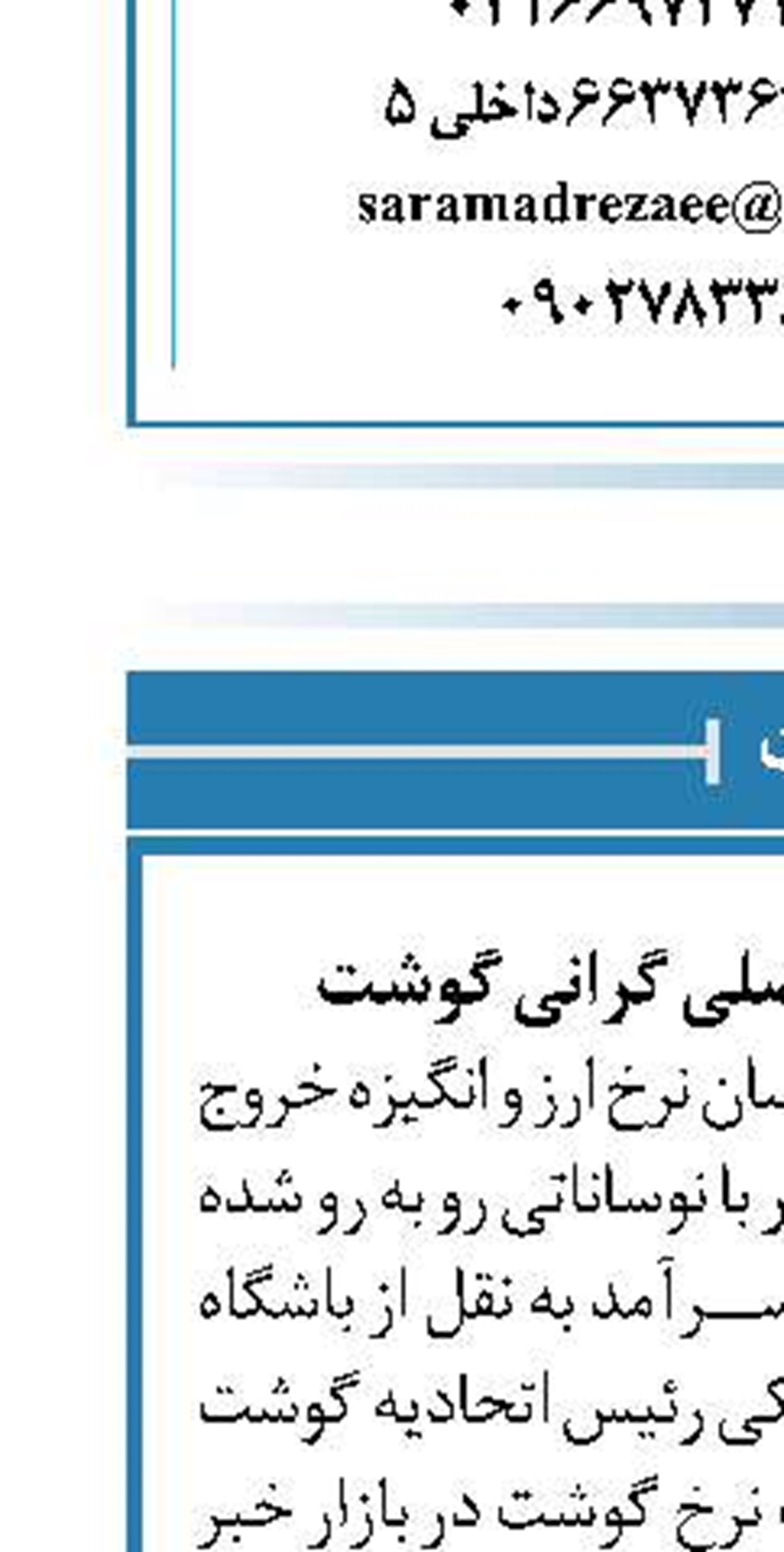 قاچاق دام علت اصلی گرانی گوشت