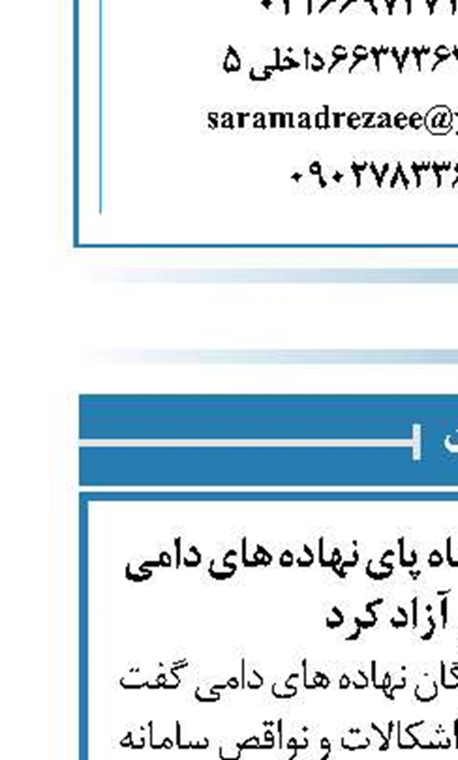 اشکالات سامانه بازارگاه پای نهاده های دامی را به بازار آزاد کرد