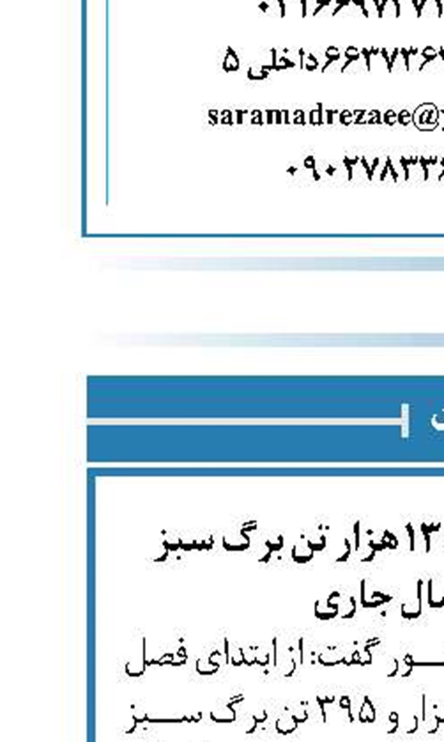 پیش بینی برداشت ۱۳۰ هزار تن برگ سبز چای در سال جاری