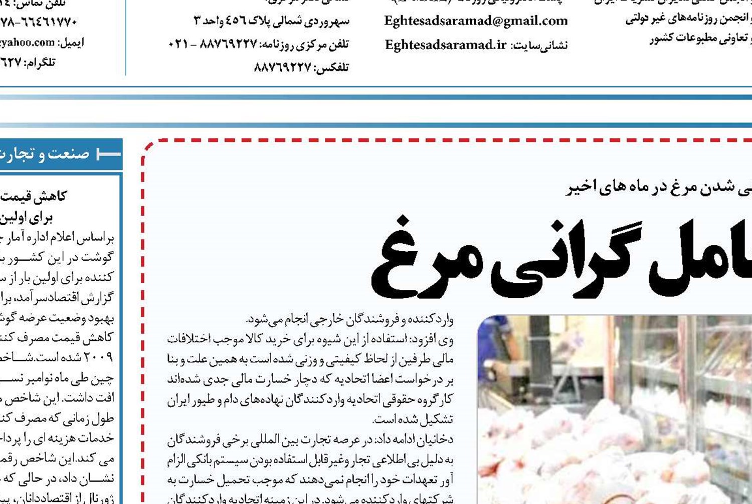 دعوای دولتی ها عامل گرانی مرغ