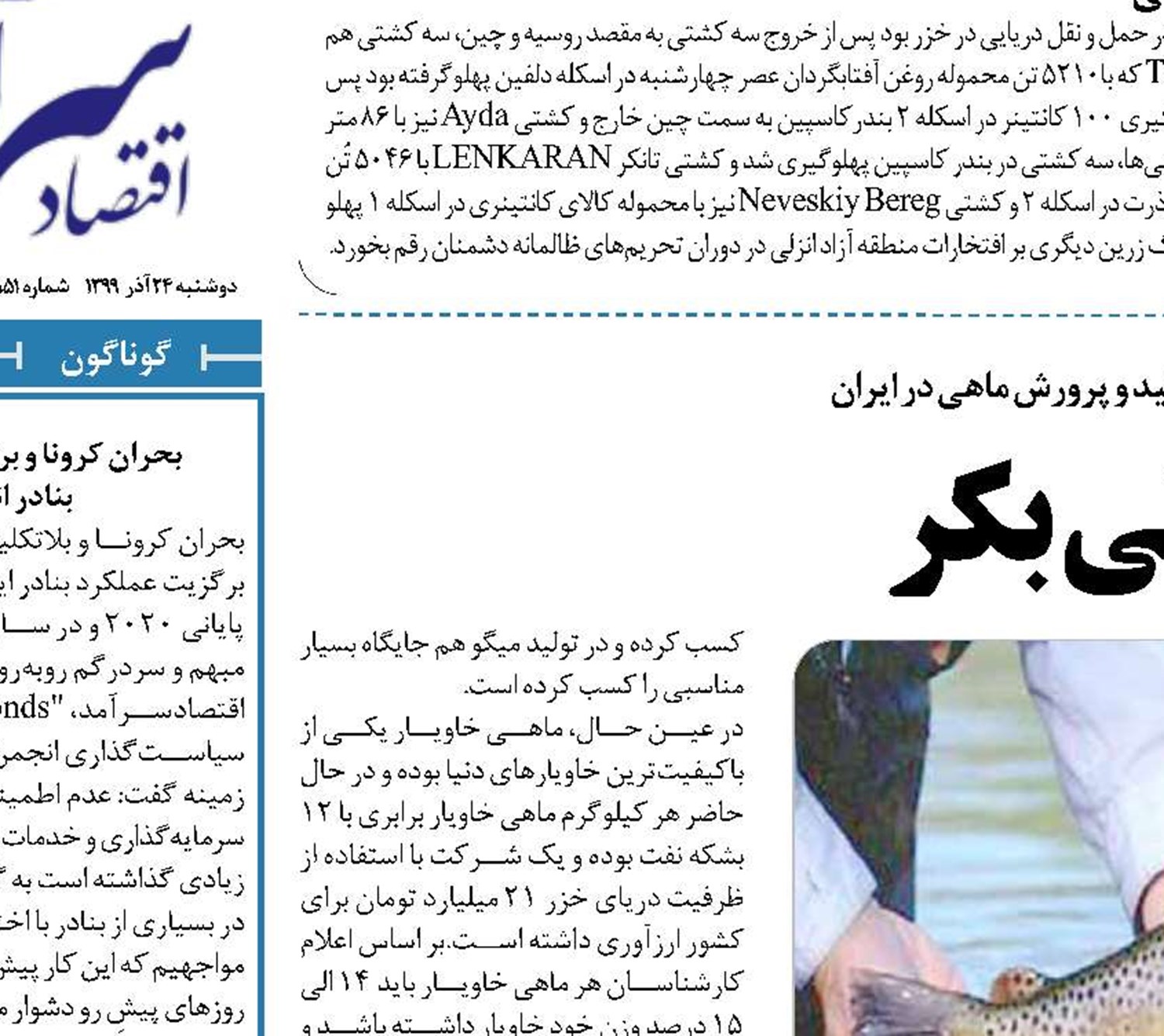 شیلات ثروتی بکر 