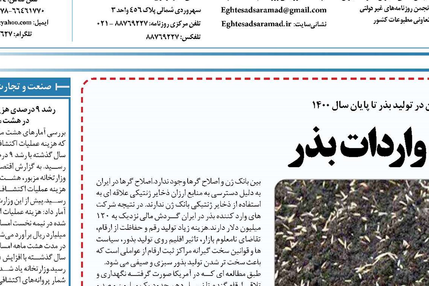 ایران بی نیاز به واردات بذر ‏