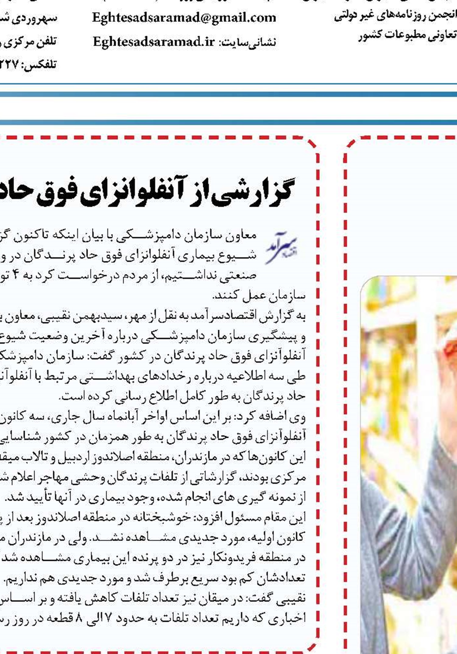 یکی می خوای دو تا بخر