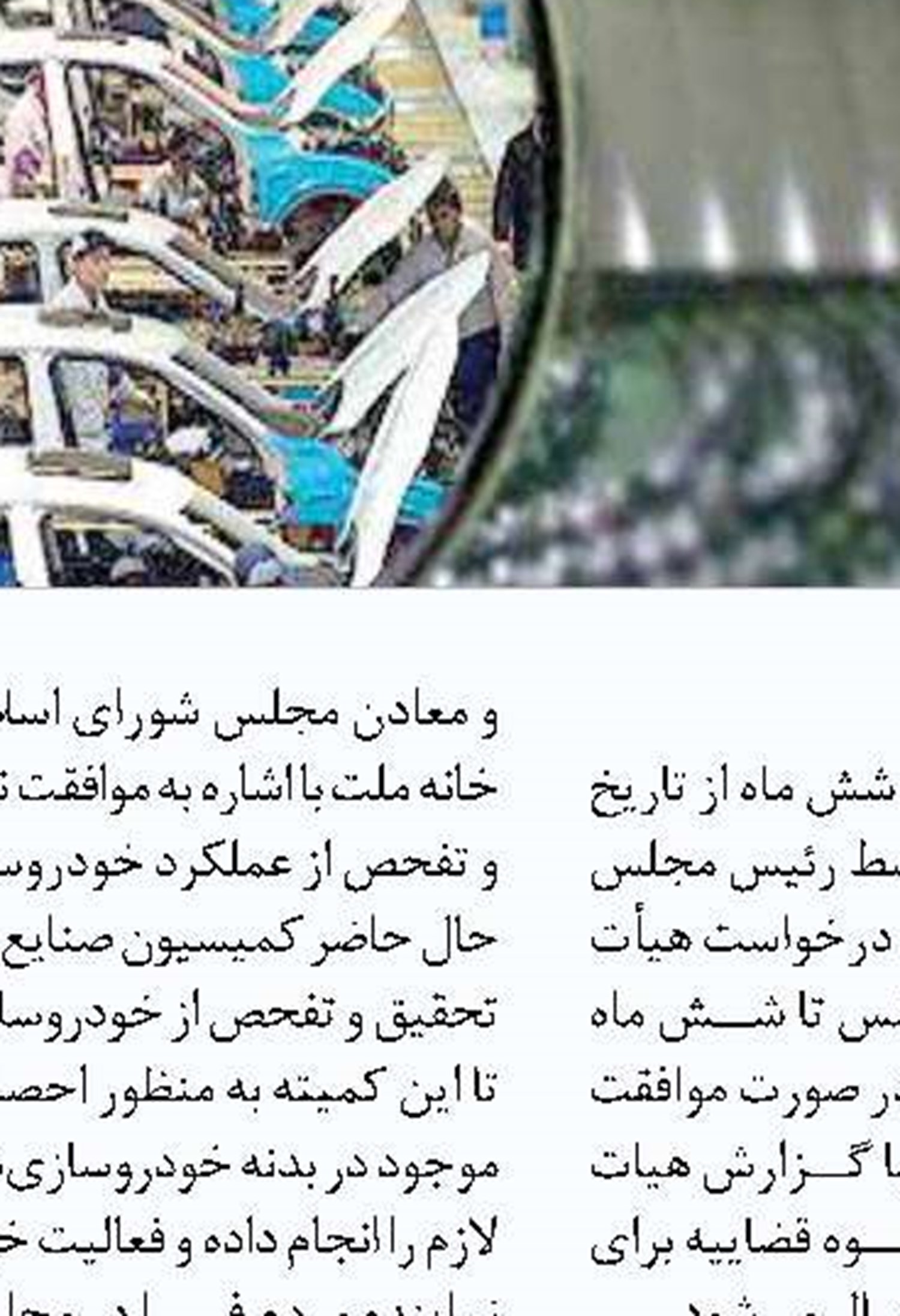 عرضه روزانه قارچ  به ۷۰ تن رسید