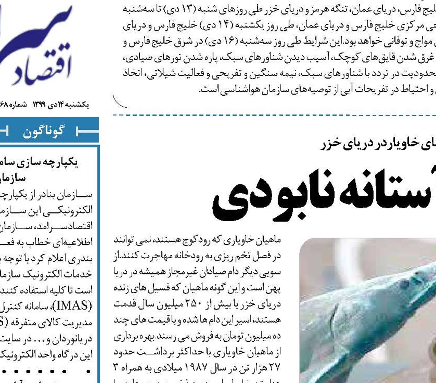 «مروارید سیاه» در آستانه نابودی 