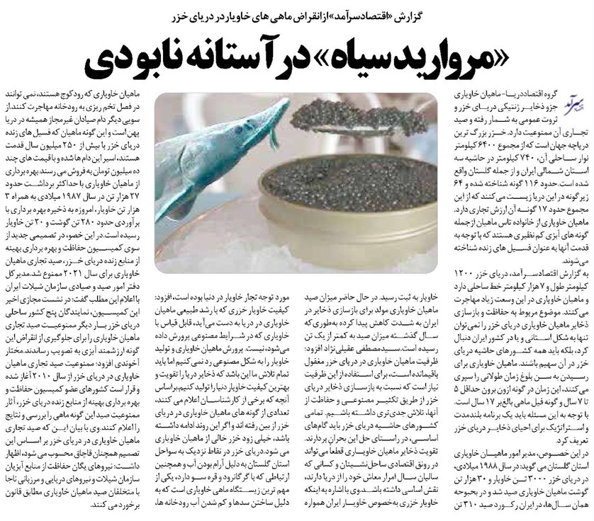 «مروارید سیاه» در آستانه نابودی