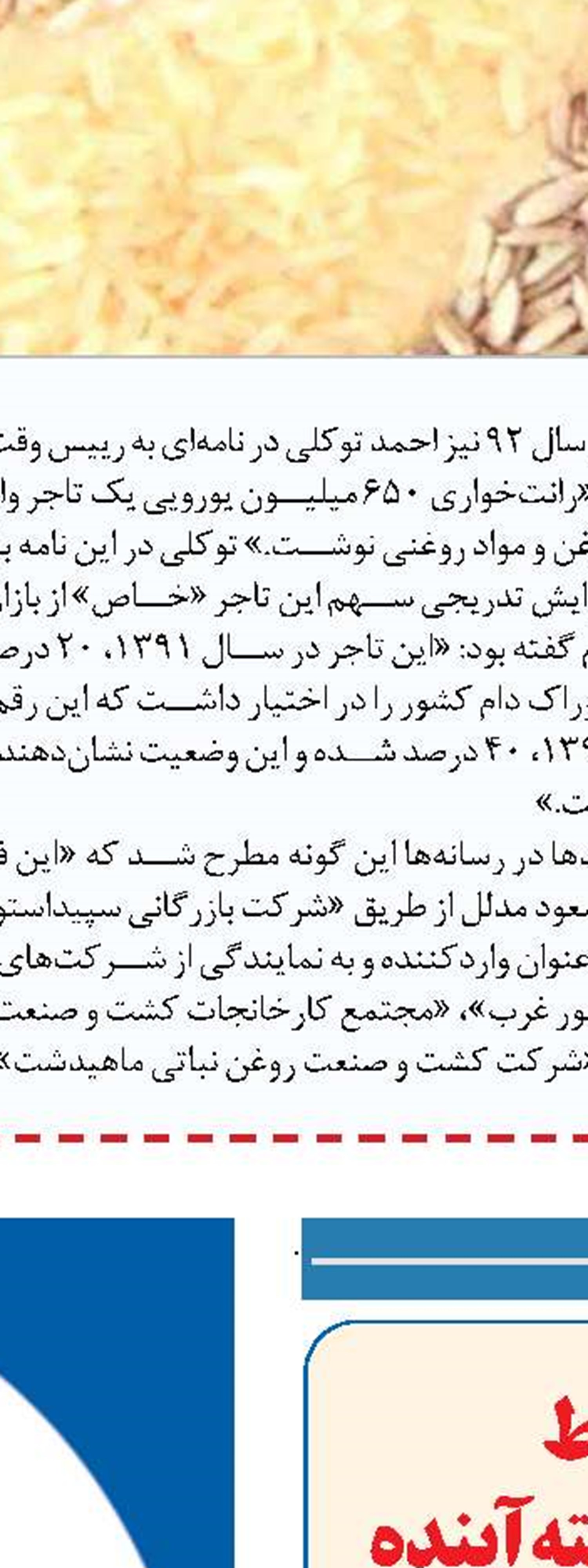 دخالت دولت در توزیع  تخم مرغ غلط است