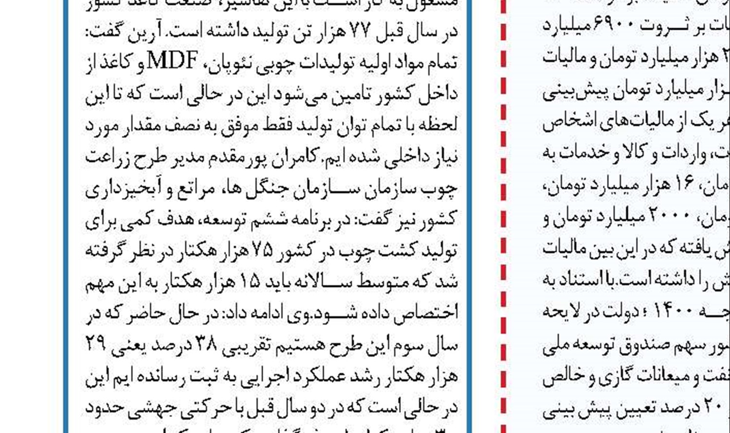 گرانی قیمت برنج در ایام پایانی  سال بازار گرمی کاذب است